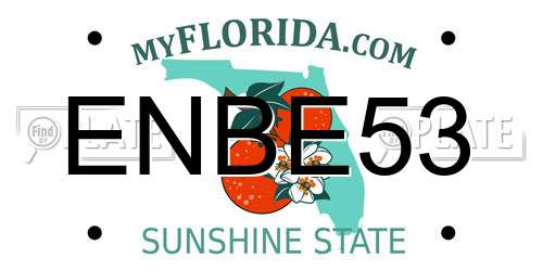 ENBE53 Florida License Plate