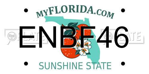 ENBF46 Florida License Plate