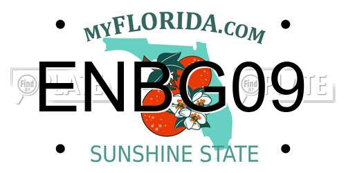 ENBG09 Florida License Plate