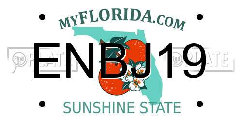 ENBJ19 Florida License Plate