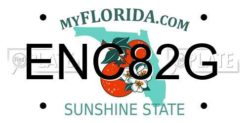 ENC82G Florida License Plate