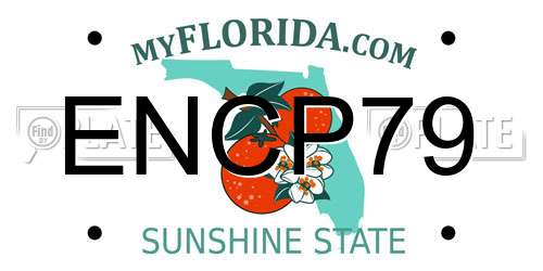 ENCP79 Florida License Plate
