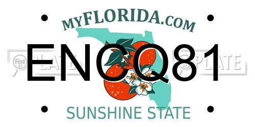 ENCQ81 Florida License Plate