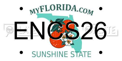 ENCS26 Florida License Plate