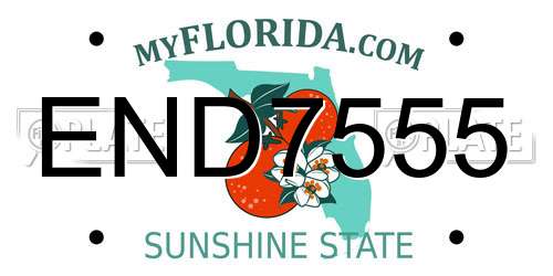 END7555 Florida License Plate