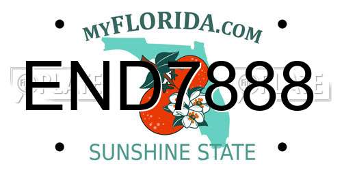 END7888 Florida License Plate