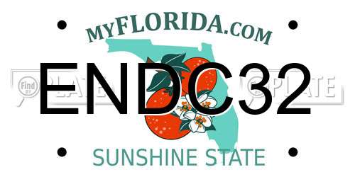 ENDC32 Florida License Plate
