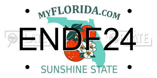 ENDF24 Florida License Plate