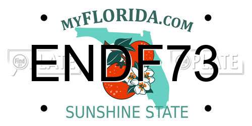 ENDF73 Florida License Plate
