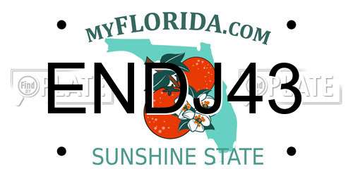 ENDJ43 Florida License Plate