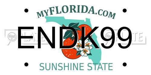 ENDK99 Florida License Plate