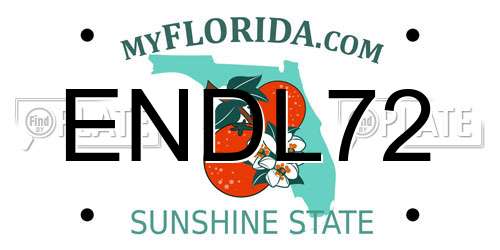 ENDL72 Florida License Plate