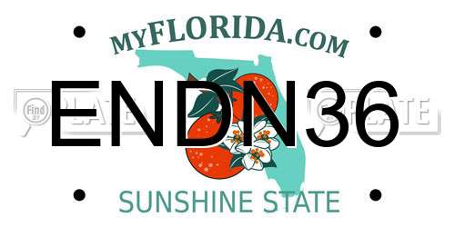 ENDN36 Florida License Plate