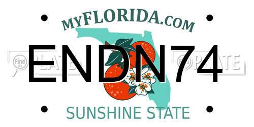ENDN74 Florida License Plate