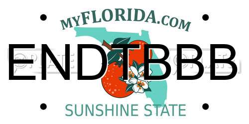ENDTBBB Florida License Plate
