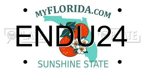 ENDU24 Florida License Plate