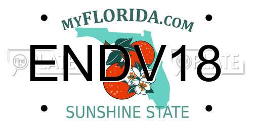 ENDV18 Florida License Plate