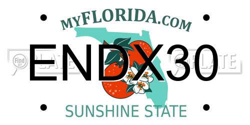 ENDX30 Florida License Plate