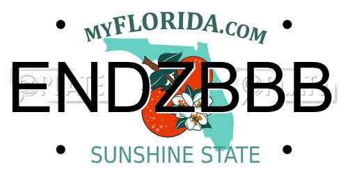 ENDZBBB Florida License Plate