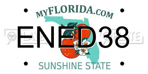 ENED38 Florida License Plate