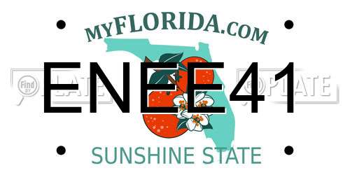 ENEE41 Florida License Plate