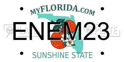 ENEM23 Florida License Plate