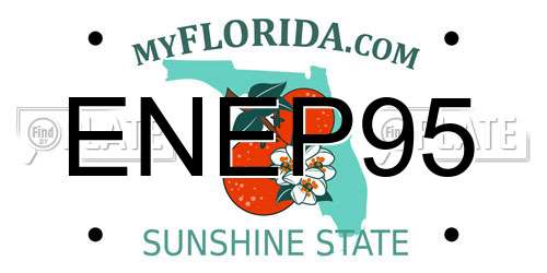 ENEP95 Florida License Plate