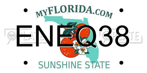 ENEQ38 Florida License Plate