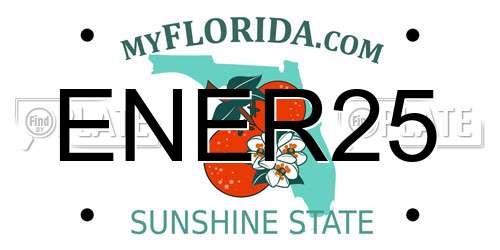 ENER25 Florida License Plate
