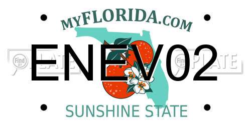 ENEV02 Florida License Plate