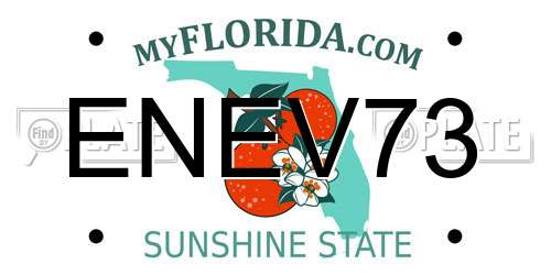 ENEV73 Florida License Plate