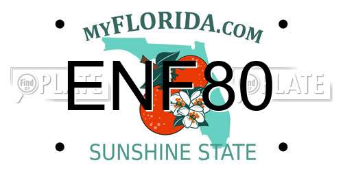 ENF80 Florida License Plate