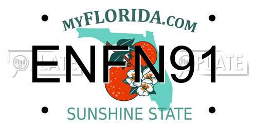 ENFN91 Florida License Plate