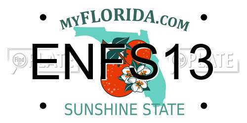 ENFS13 Florida License Plate