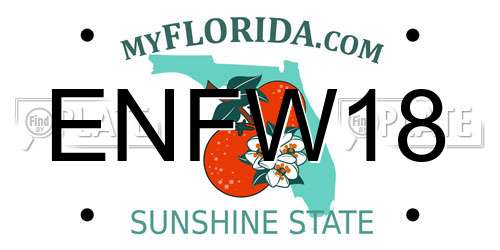 ENFW18 Florida License Plate