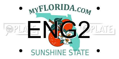 ENG2 Florida License Plate