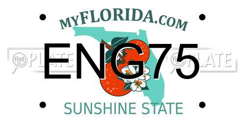 ENG75 Florida License Plate