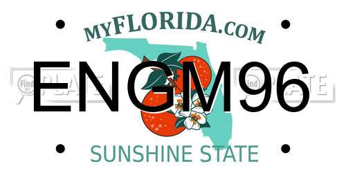 ENGM96 Florida License Plate