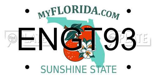ENGT93 Florida License Plate