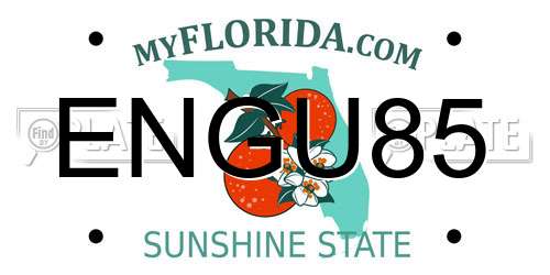 ENGU85 Florida License Plate
