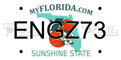 ENGZ73 Florida License Plate