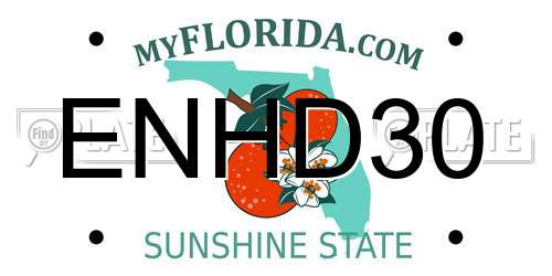 ENHD30 Florida License Plate