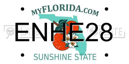 ENHE28 Florida License Plate