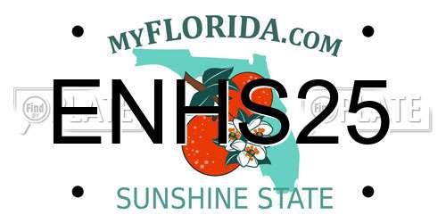 ENHS25 Florida License Plate