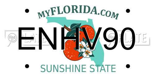 ENHV90 Florida License Plate