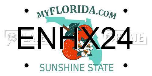 ENHX24 Florida License Plate