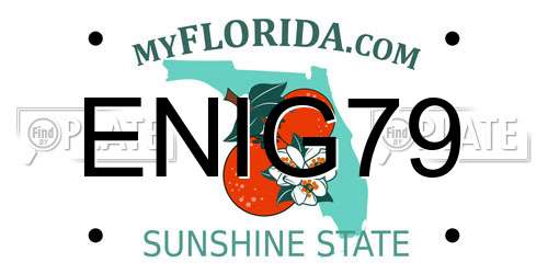 ENIG79 Florida License Plate