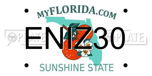 ENIZ30 Florida License Plate