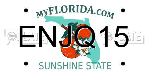 ENJQ15 Florida License Plate