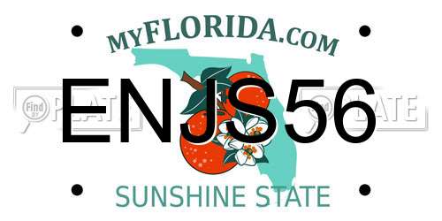 ENJS56 Florida License Plate
